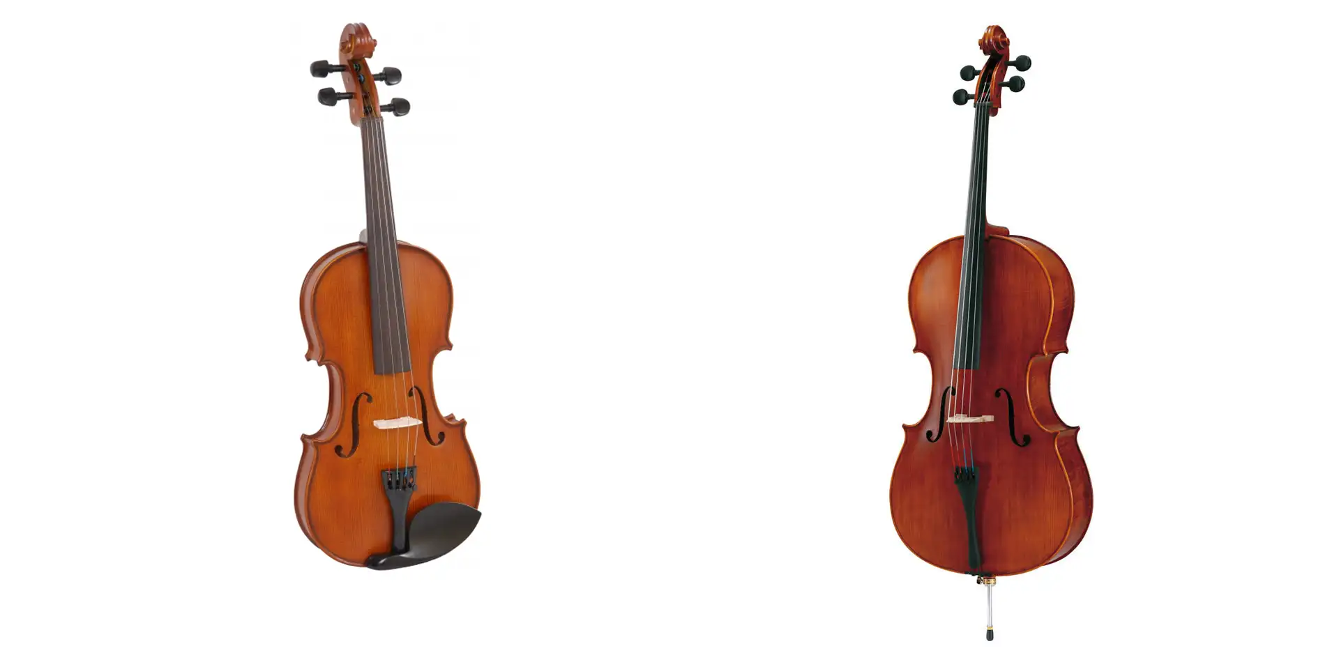 Viola